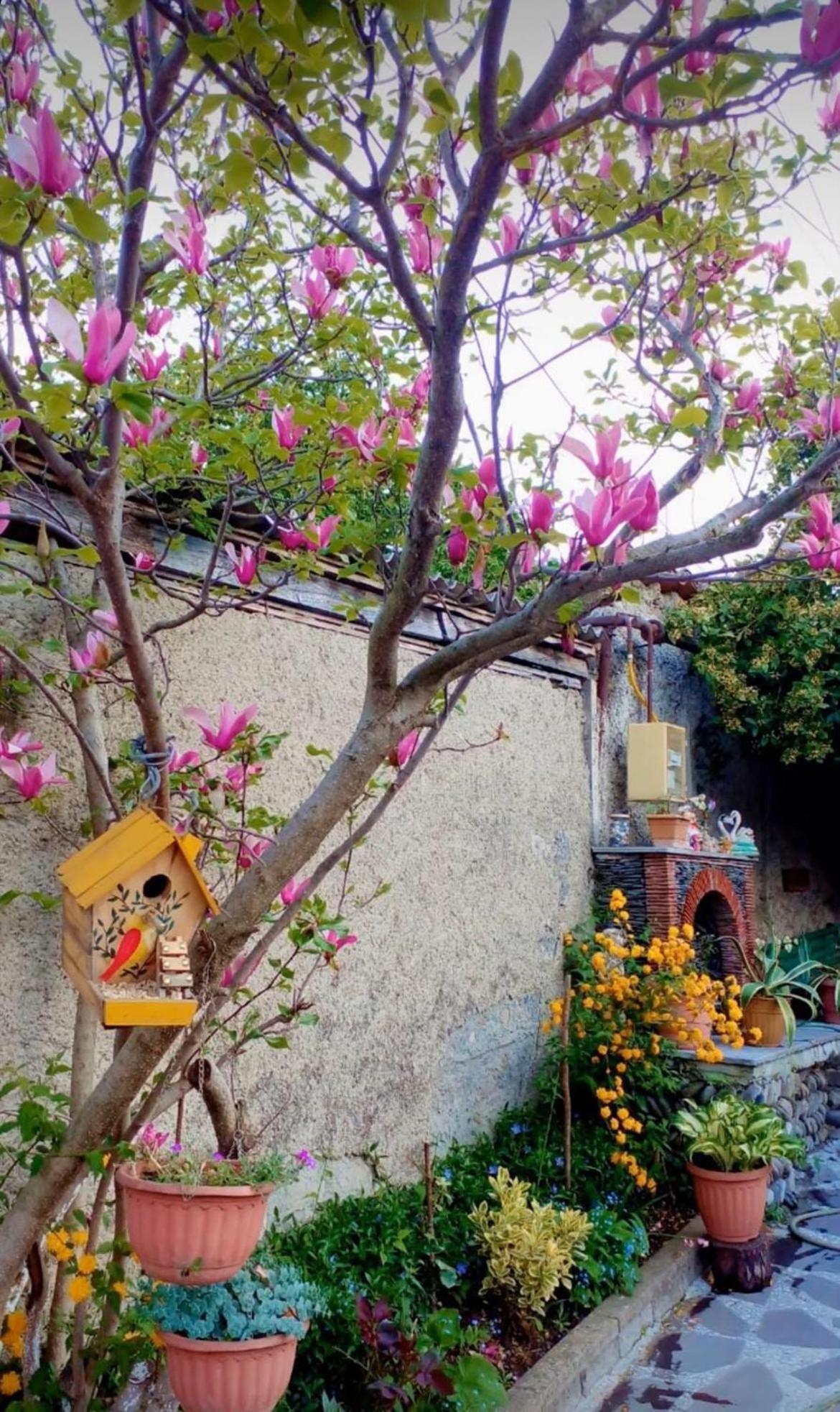 Guesthouse Giorgi Telavi Exterior photo